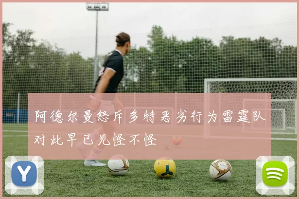 阿德尔曼怒斥多特恶劣行为雷霆队对此早已见怪不怪
