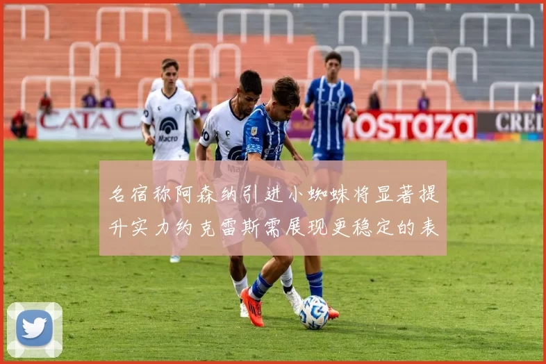 名宿称阿森纳引进小蜘蛛将显著提升实力约克雷斯需展现更稳定的表现