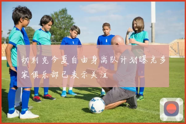 切利克今夏自由身离队计划曝光多家俱乐部已表示关注